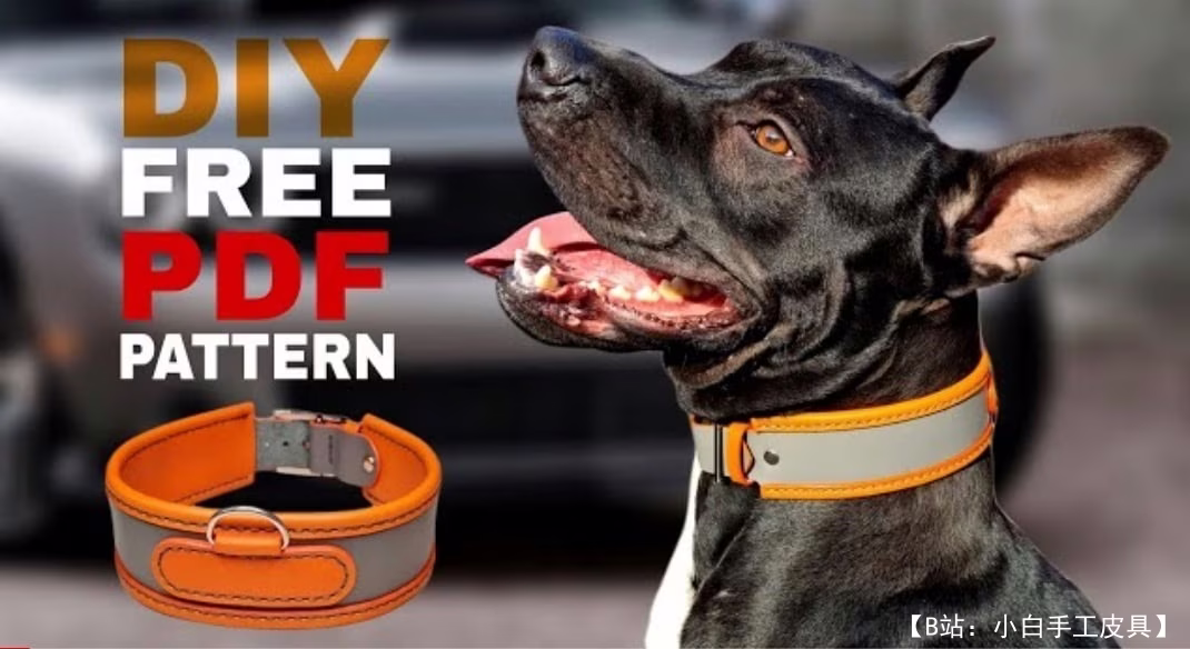 Caspia Leather 的免费狗项圈版型 - 1